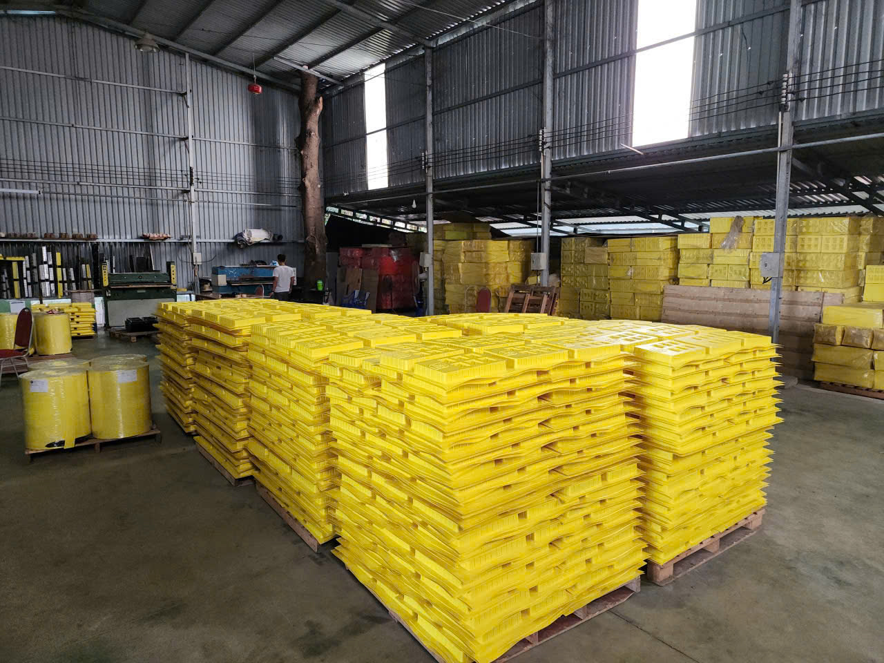 Khám Phá Xưởng Sản Xuất Khay Nhựa Định Hình Năng Suất Cao, Chuẩn Chất Lượng